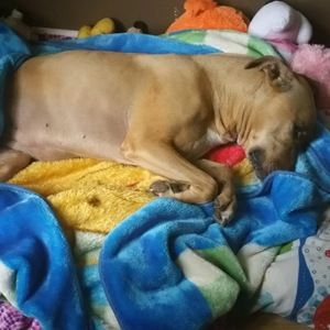 Meet your Posher, Andreita